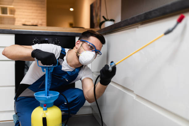 Flea Control Services in Savannah, TN