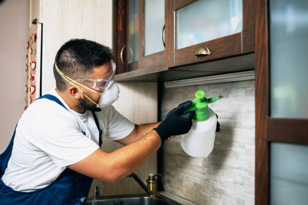 Best Wasp Removal Services  in Savannah, TN