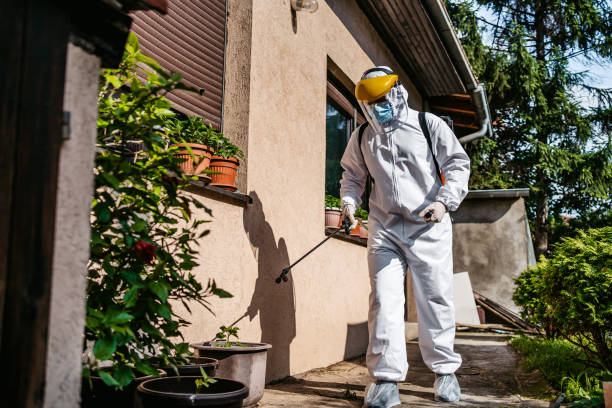 Best Rat Extermination Near Me  in Savannah, TN