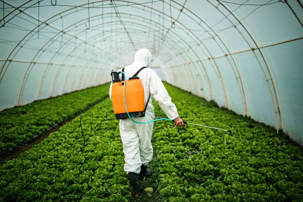 Best Commercial Pest Control Services  in Savannah, TN
