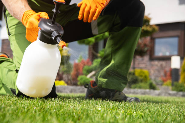 Best Rat Extermination Near Me  in Savannah, TN