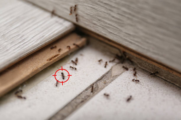 Best Wildlife Control Services  in Savannah, TN