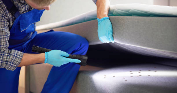 Best Mosquito Control Services  in Savannah, TN