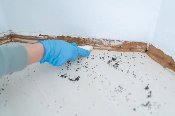 Best Pest Prevention Services  in Savannah, TN
