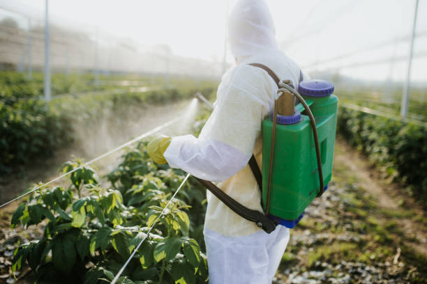 Best Bed Bug Extermination  in Savannah, TN